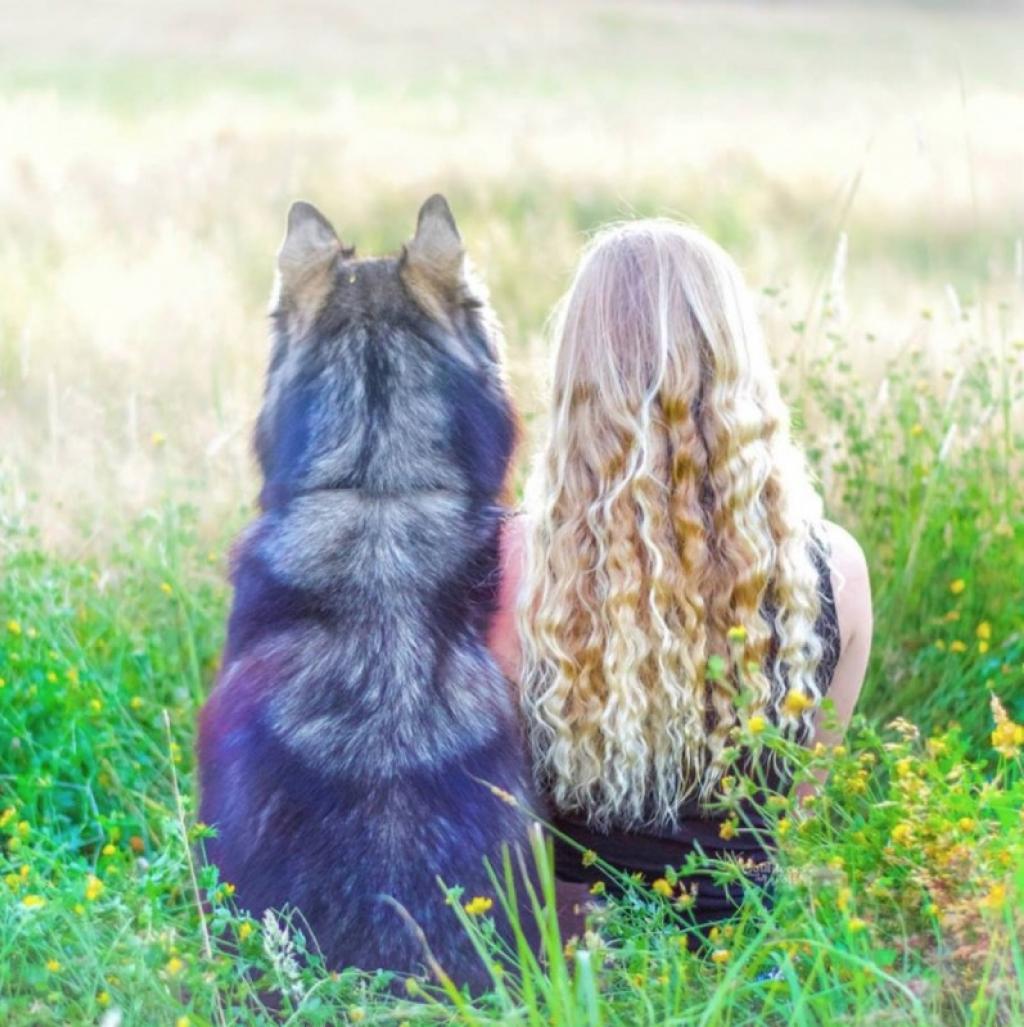 quand-cette-jeune-femme-de-22-ans-adopte-un-petit-chien-abandonne-elle-ne-sattend-pas-a-se-qui-se-produisit-3-ans-plus-tard-6