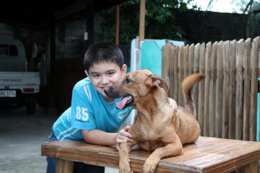 du-haut-de-ses-11-ans-ce-garcon-sauve-6-betes-mourantes-un-an-plus-tard-le-resultat-est-incroyable-7