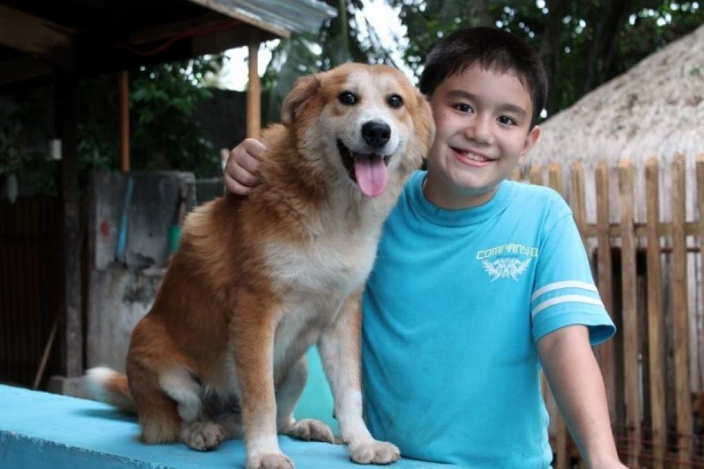 du-haut-de-ses-11-ans-ce-garcon-sauve-6-betes-mourantes-un-an-plus-tard-le-resultat-est-incroyable-8