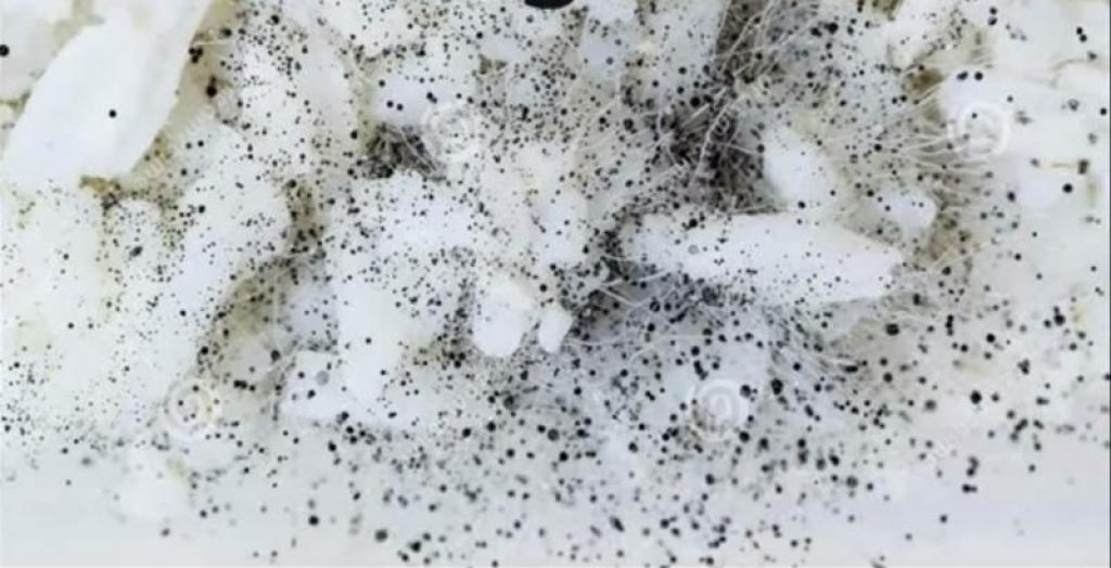 prenez-une-cuillere-de-riz-de-votre-cuisine-mettez-y-le-feu-ce-qui-va-se-passer-est-tres-troublant-4